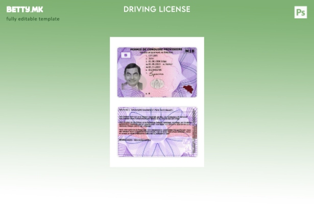 Модерен стил Белгија привремена возачка дозвола шаблон